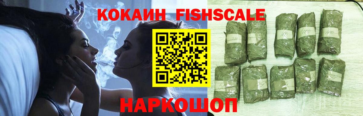 Cocaine Fish Scale Кашира