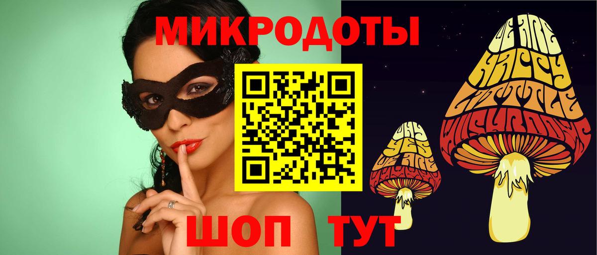 Галлюциногенные грибы Cubensis Кашира