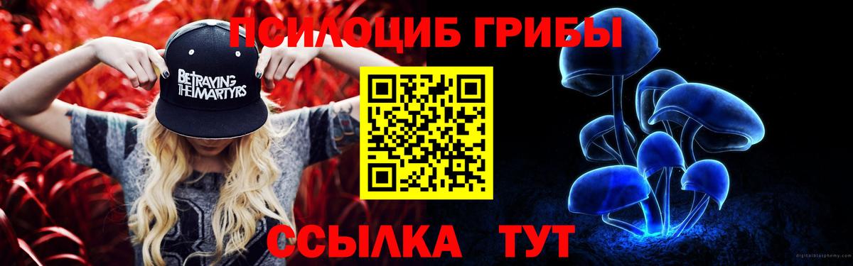 Галлюциногенные грибы прущие грибы  Вход с VPN  Кашира 
